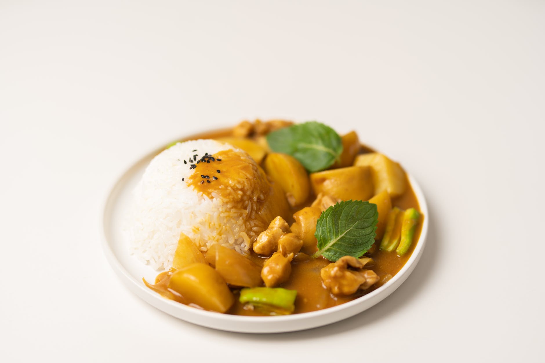 plate of traditional indian dish curry with rice